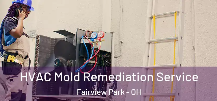 HVAC Mold Remediation Service Fairview Park - OH