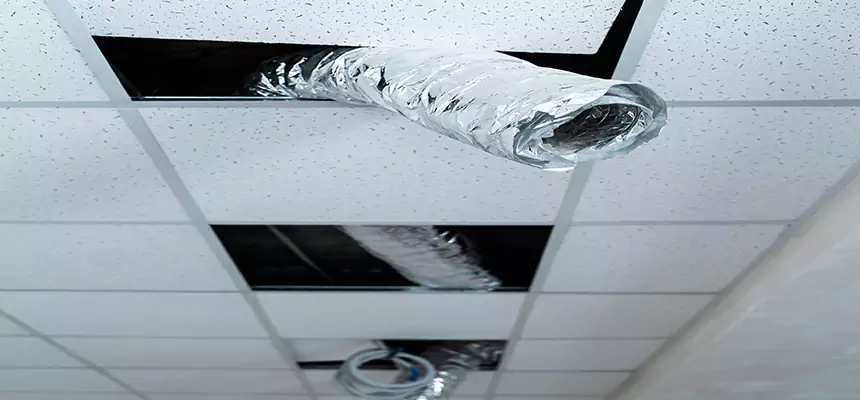 Affordable HVAC Sanitizing After Pest Removal in Fairview Park