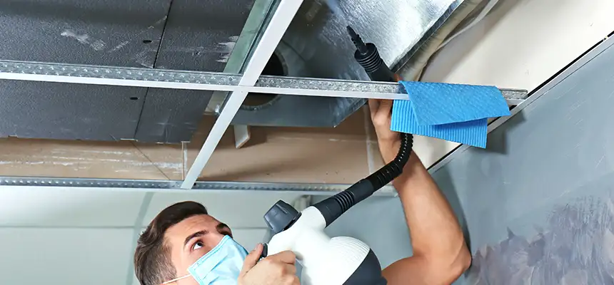 Our Air Duct Rodent Removal Services in Fairview Park, OH
