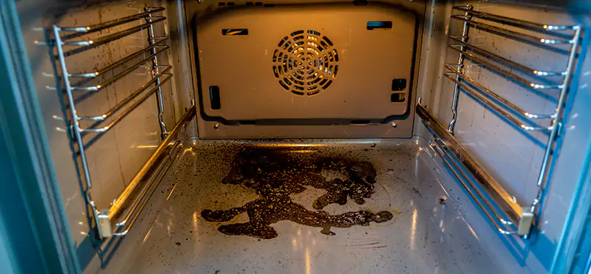 Our Dryer Vent Mold Cleaning Services in Fairview Park, OH