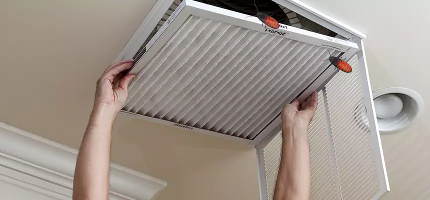 Our Insect Removal from Air Ducts Services in Fairview Park, OH