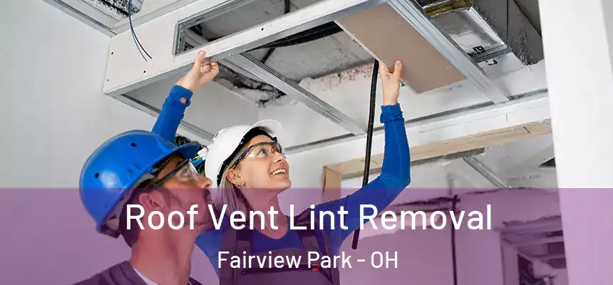Roof Vent Lint Removal Fairview Park - OH