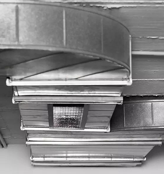 Professional Air Duct Pest Removal in Fairview Park, OH