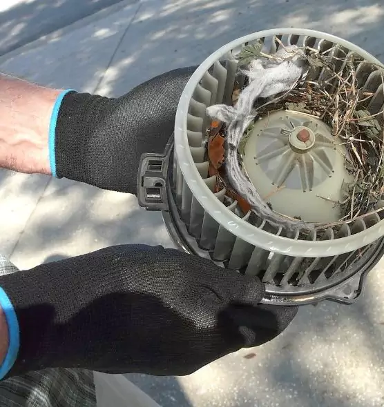 About Air Duct Rat Removal in Fairview Park, OH