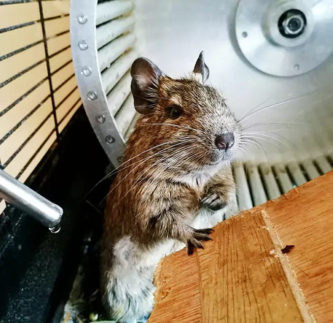 Why Homeowners & Businesses Trust Us Fairview Park, OH?