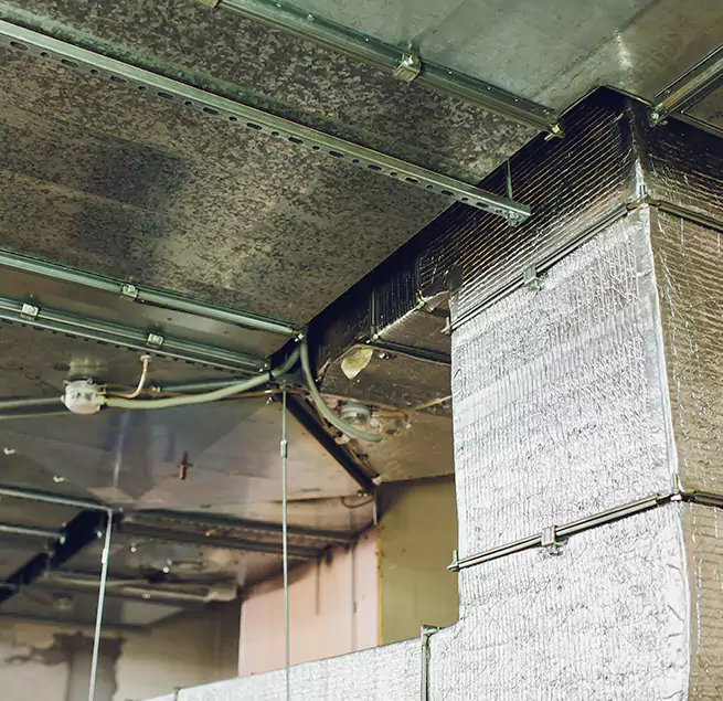 Why Homeowners & Businesses Trust Us in Fairview Park, OH?